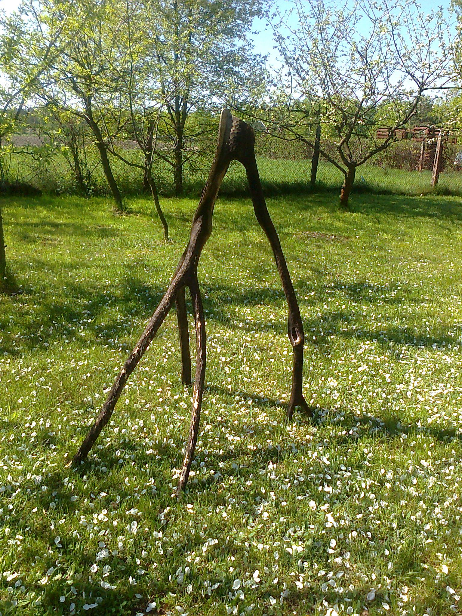 Image 28
